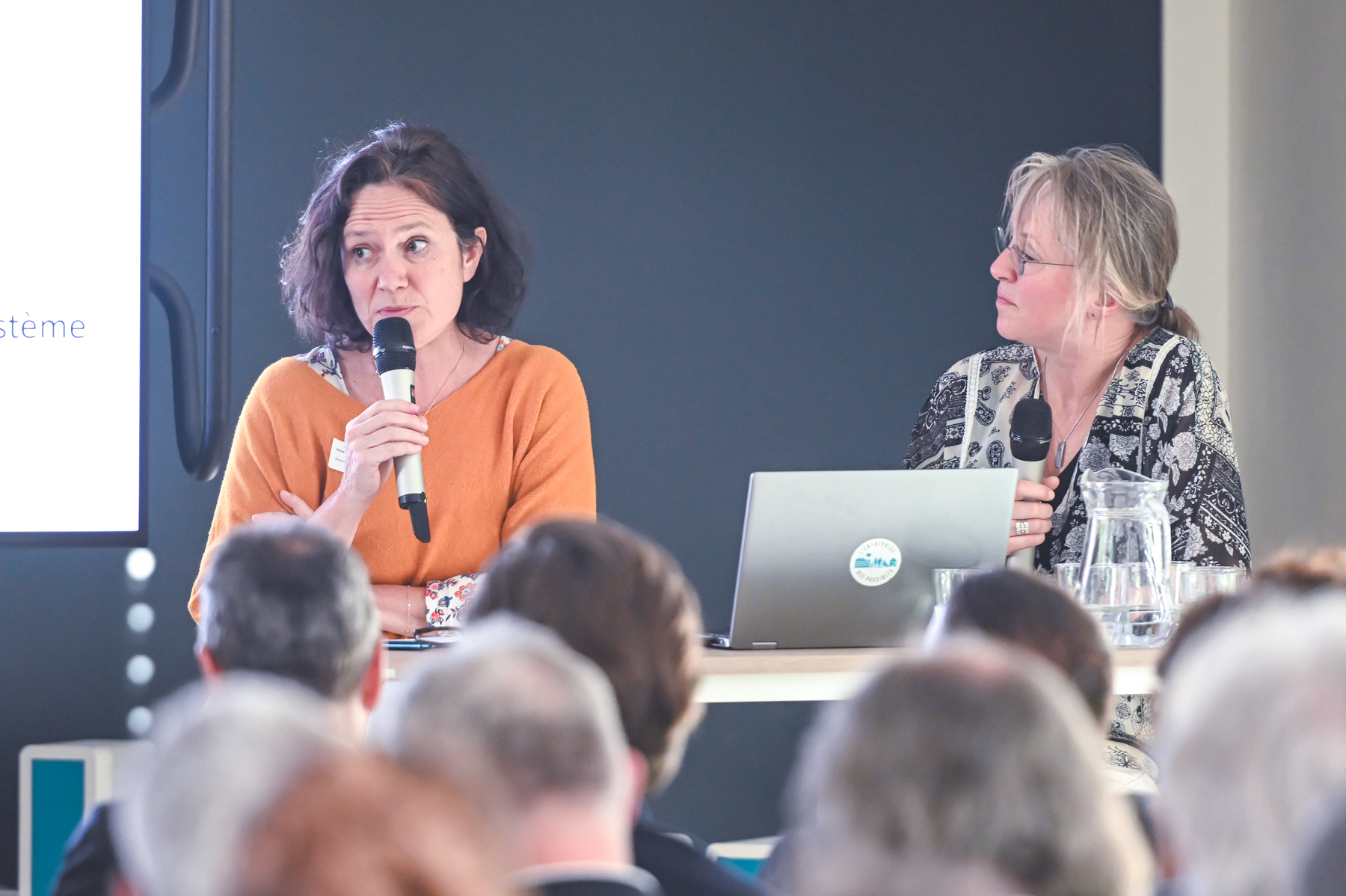 Anne Chatanay-Brosset, directrice de la MVS